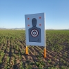 Sure Shot Target Anchor